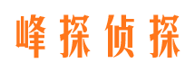 乾安市私家侦探